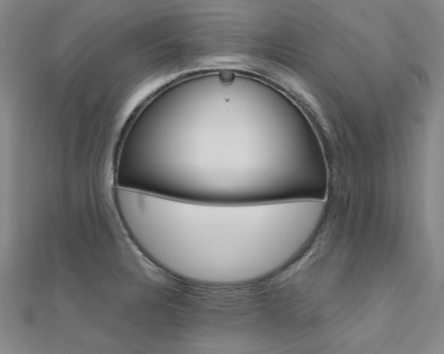 X0000112171328200908070951