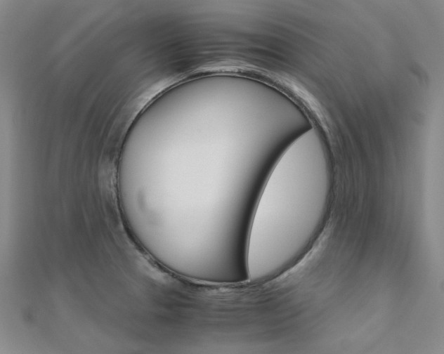 X0000112171329200908070951