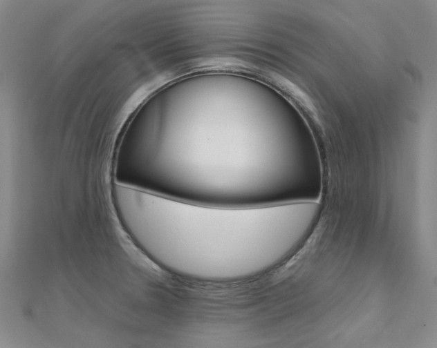 X0000112171330200908070951