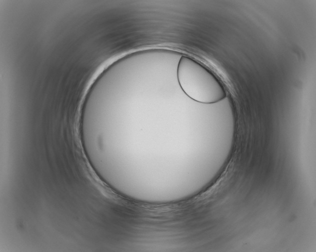 X0000112171332200908070951