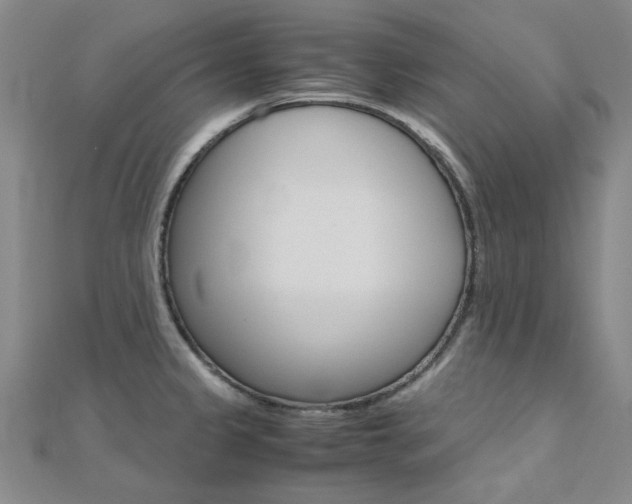 X0000112171333200908070951