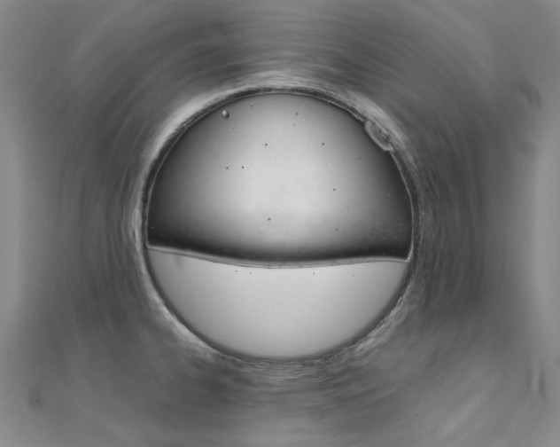 X0000112171334200908070951