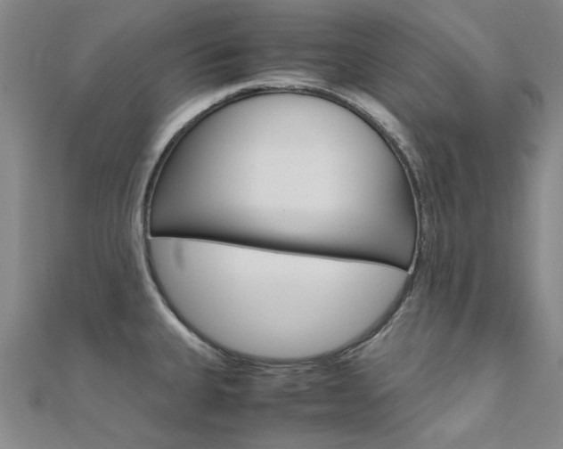 X0000112171335200908070951