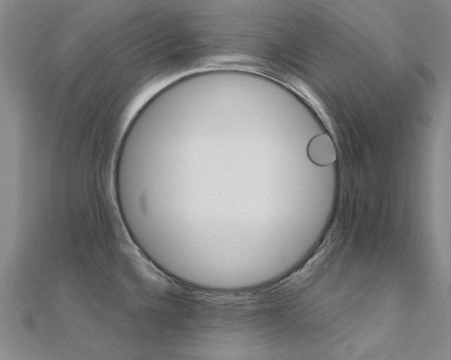 X0000112171336200908070951