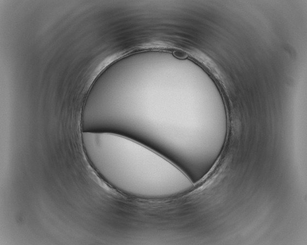 X0000112171337200908070951