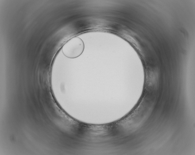 X0000112171338200908070951