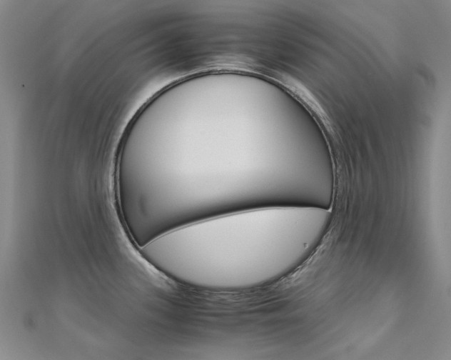 X0000112171339200908070951
