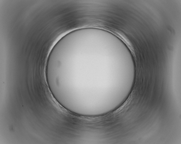 X0000112171340200908070951
