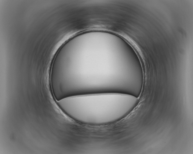 X0000112171341200908070951