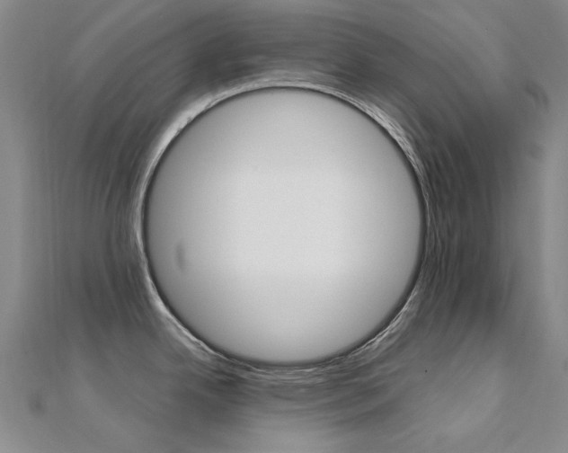 X0000112171342200908070951