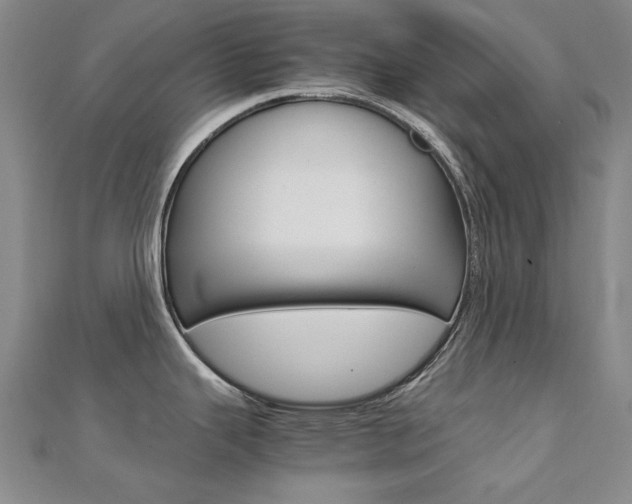 X0000112171343200908070951