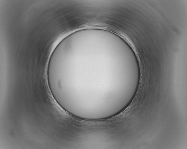 X0000112171344200908070951