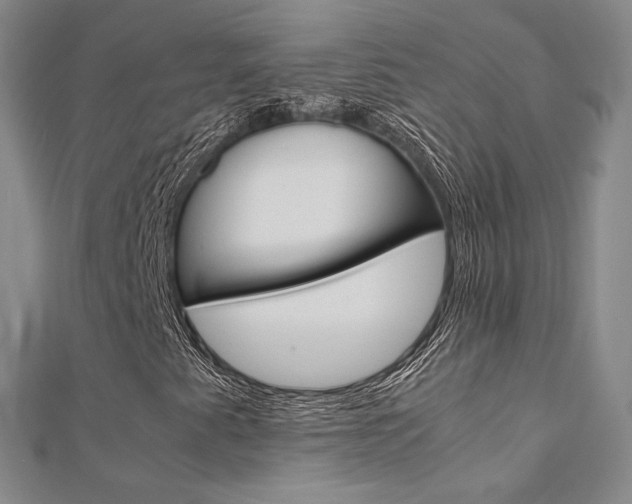 X0000112171345200908070951