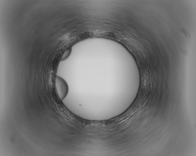 X0000112171346200908070951