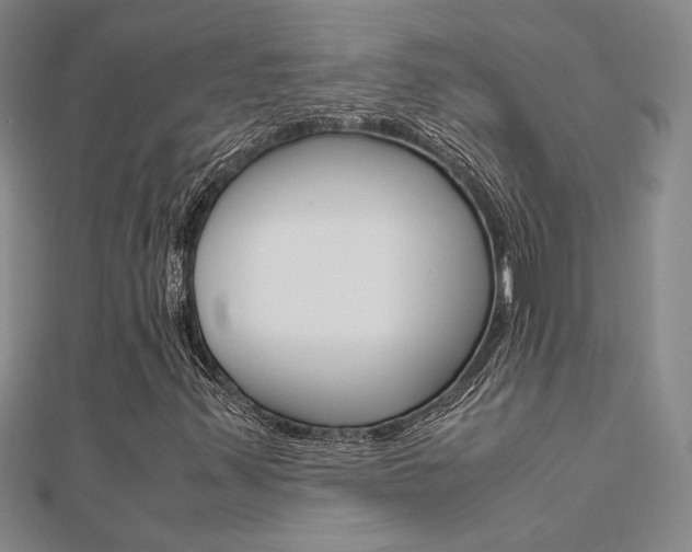 X0000112171347200908070951