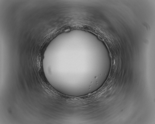X0000112171348200908070951