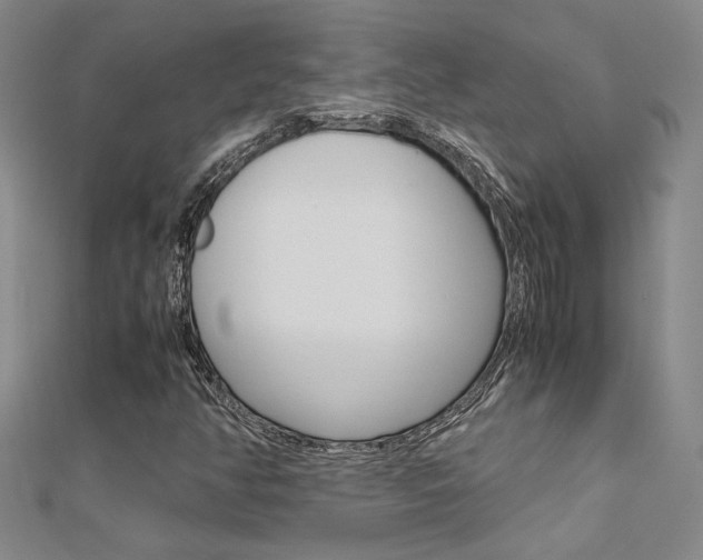 X0000112171350200908070951