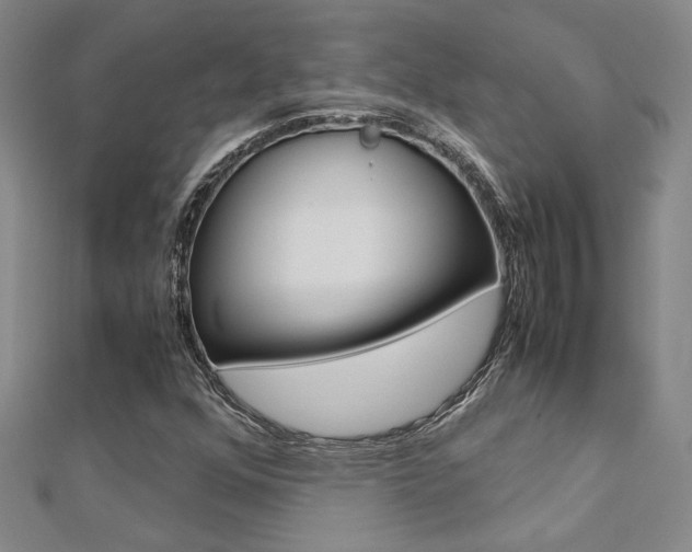 X0000112171352200908070951