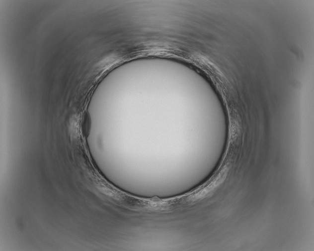 X0000112171353200908070951