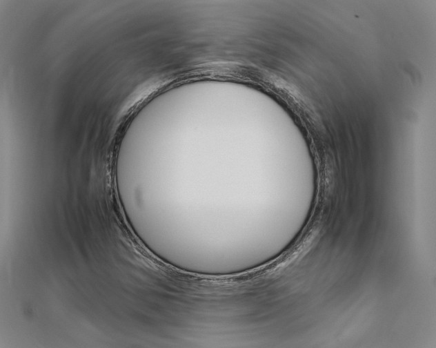 X0000112171354200908070951