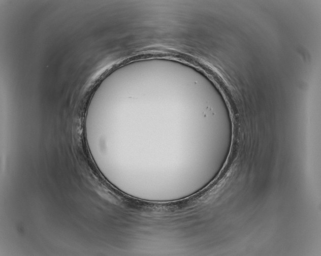 X0000112171355200908070951