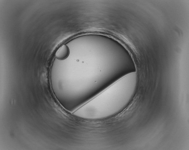X0000112171356200908070951