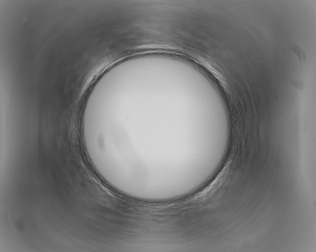 X0000112171357200908070951