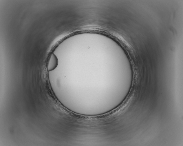 X0000112171358200908070951