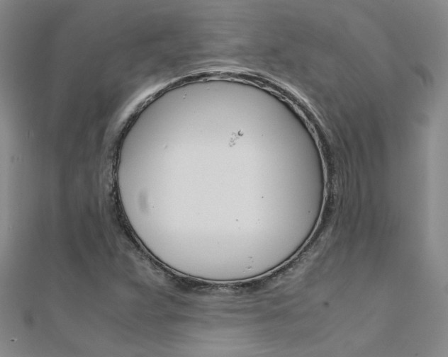 X0000112171359200908070951