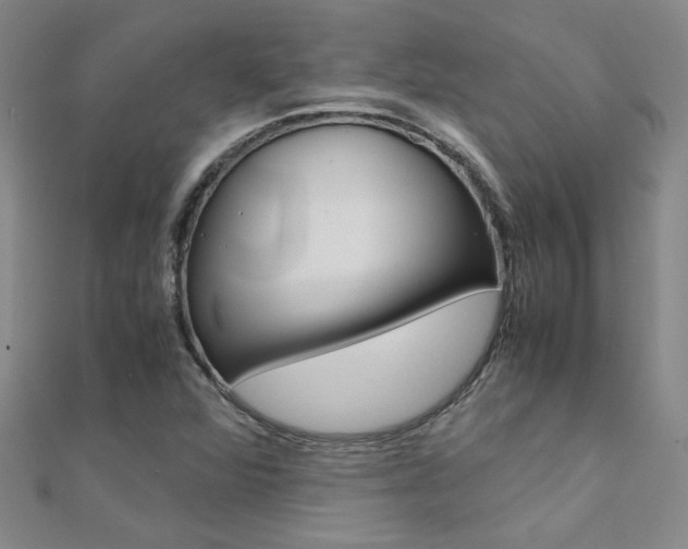 X0000112171360200908070951