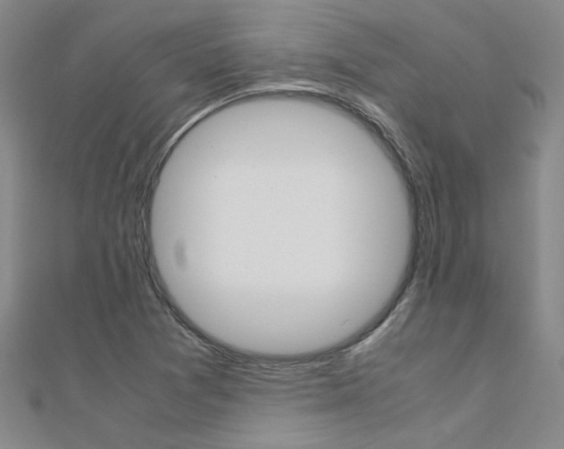 X0000112171361200908070951