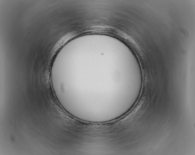 X0000112171362200908070951
