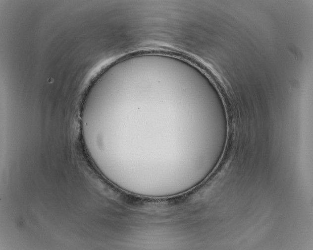 X0000112171363200908070951