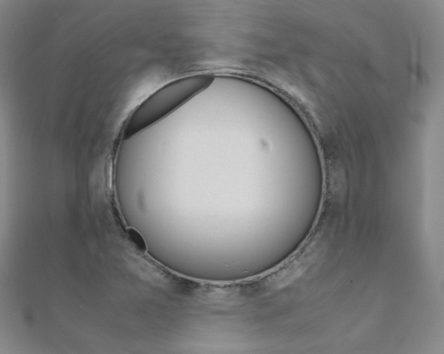 X0000112171365200908070950