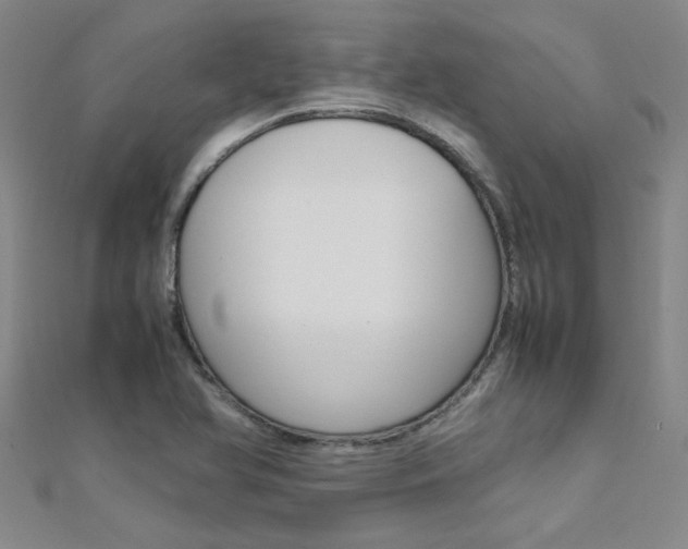X0000112171366200908070950