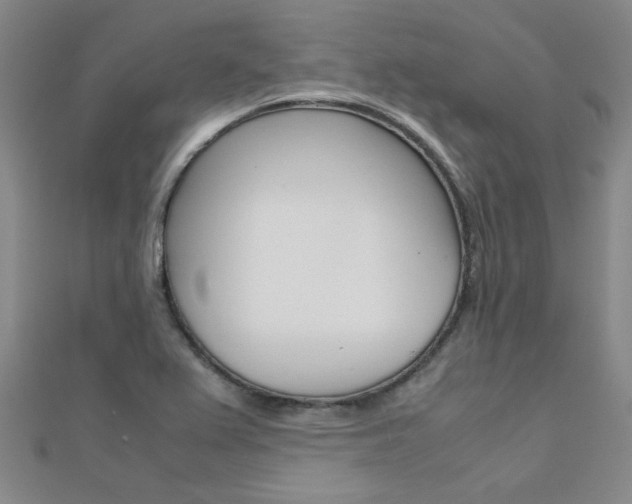 X0000112171367200908070950
