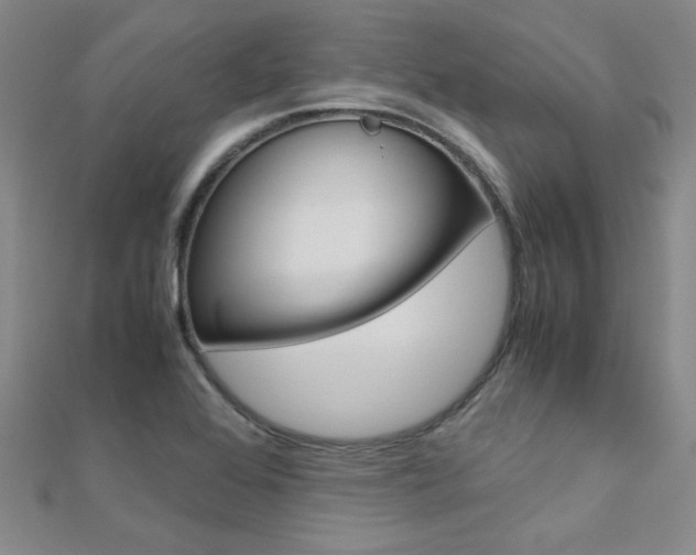 X0000112171368200908070950