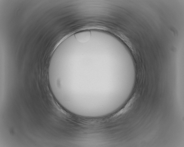 X0000112171369200908070950