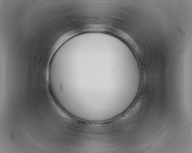 X0000112171370200908070950