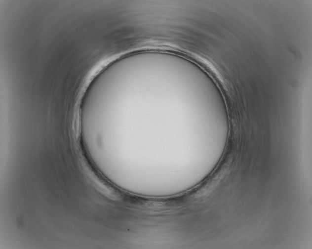 X0000112171371200908070950