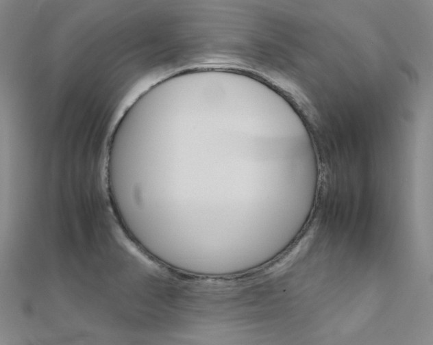 X0000112171374200908070950