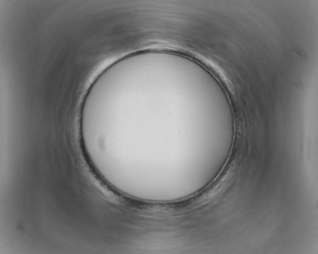 X0000112171375200908070950