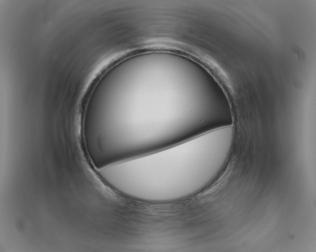X0000112171376200908070950
