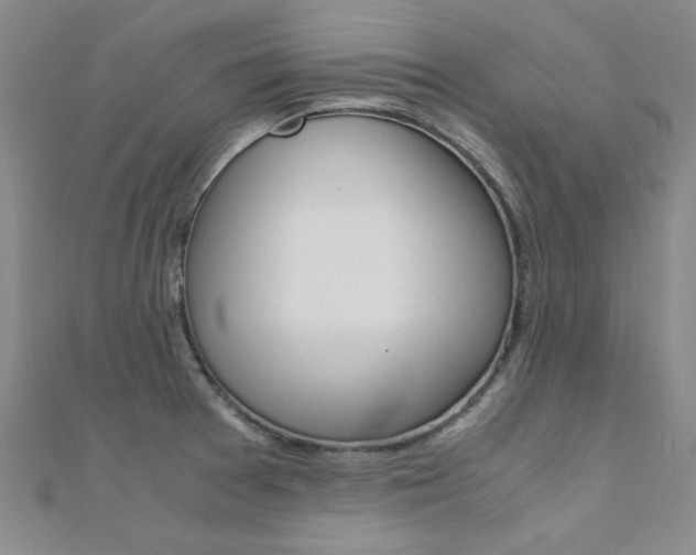 X0000112171377200908070950