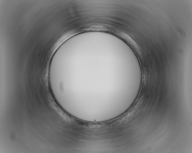 X0000112171378200908070950