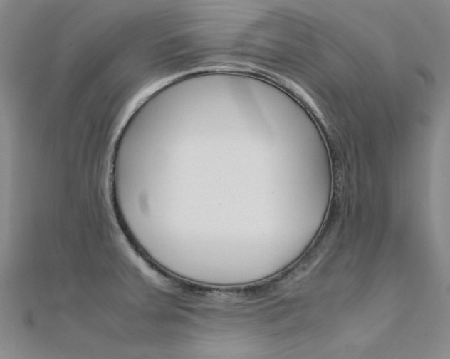 X0000112171379200908070950