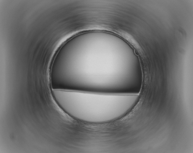 X0000112171380200908070950