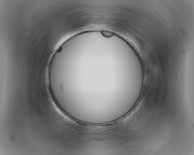 X0000112171382200908070950