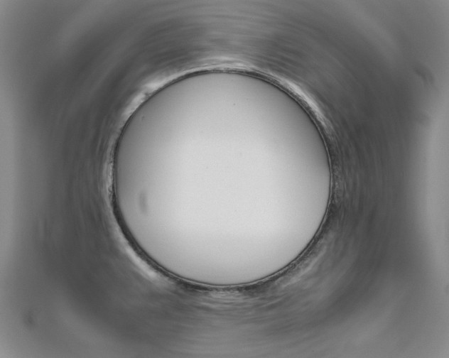 X0000112171383200908070950