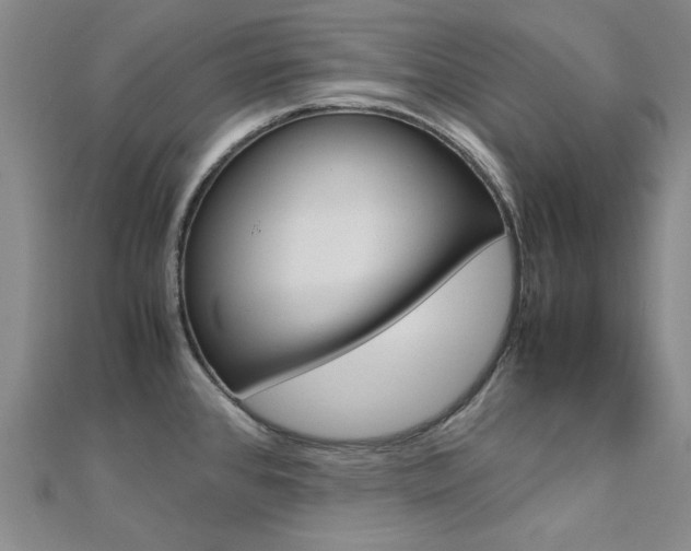 X0000112171384200908070950